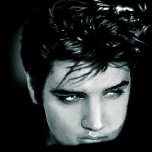 Meet your Posher, George